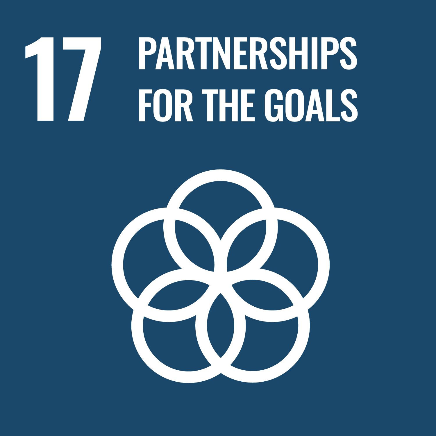Goal 17 PARTNERSHIPS FOR THE GOALS title=